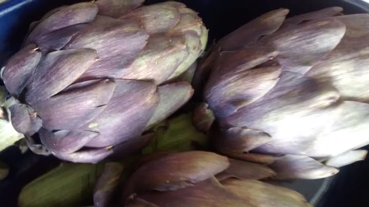 Time to kill? How about slaving over some artichokes alla Romana!