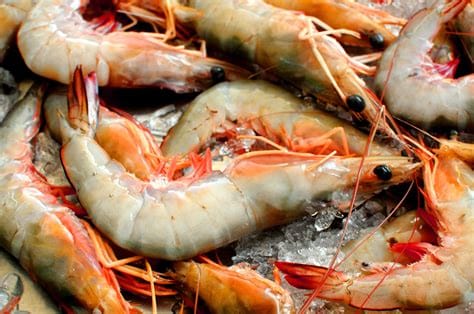 Cooking in Cycles: Crustaceans in the Shell